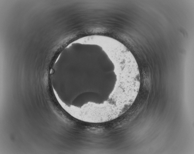 X0000112830447200910021226