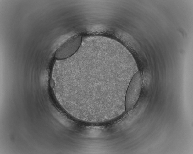 X0000112830448200910021226