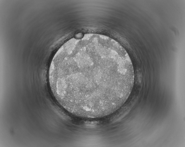 X0000112830450200910021226