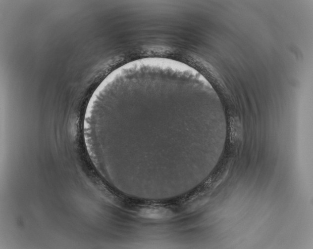 X0000112830451200910021226