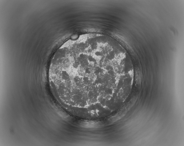 X0000112830453200910021226