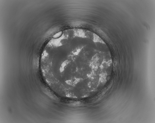 X0000112830454200910021226