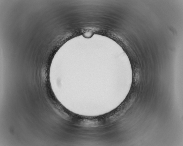 X0000112830455200910021226