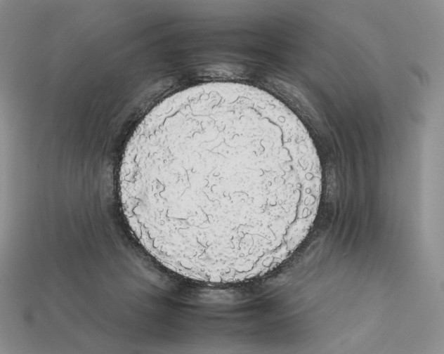 X0000112830457200910021226