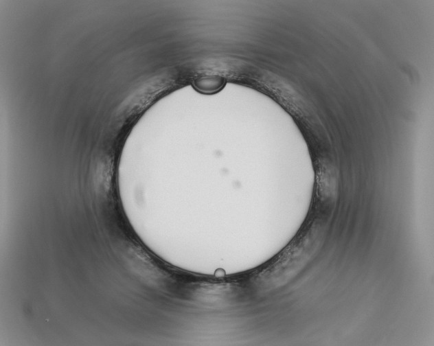 X0000112830458200910021226