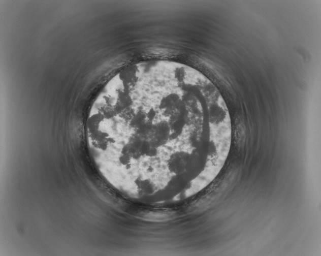 X0000112830459200910021226