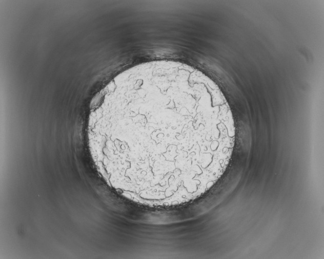 X0000112830461200910021226