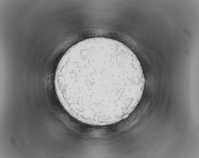 X0000112830462200910021226