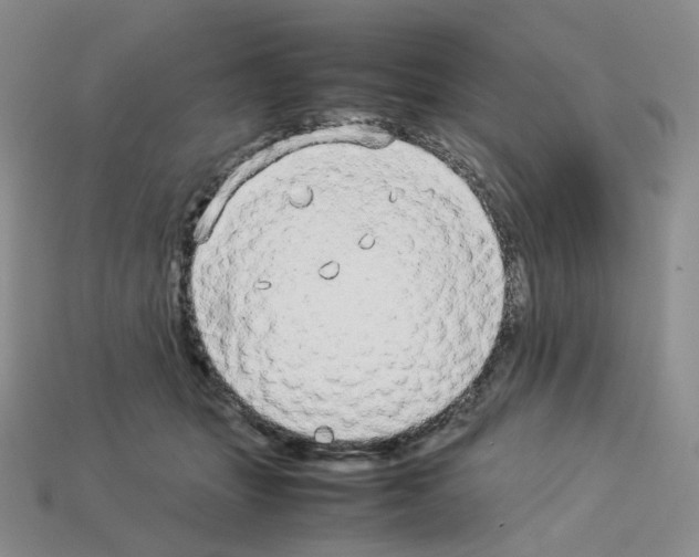 X0000112830463200910021226