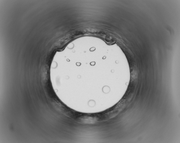 X0000112830464200910021226