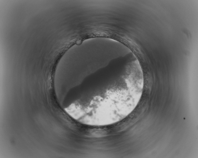 X0000112830465200910021226