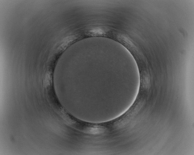 X0000112830467200910021226