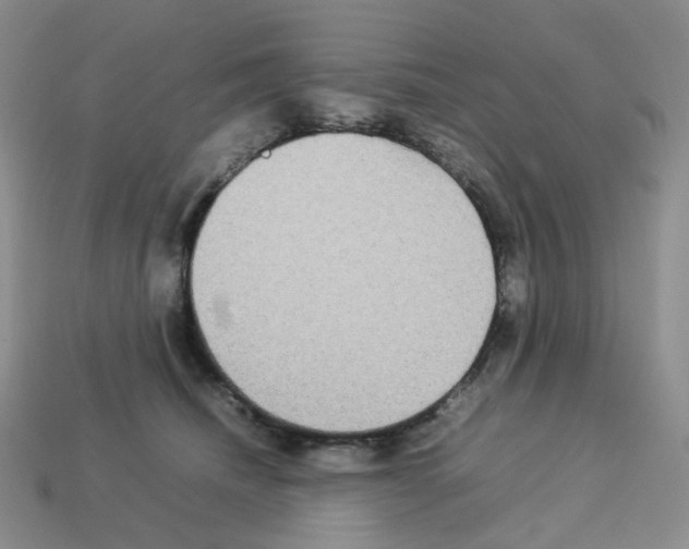 X0000112830468200910021226