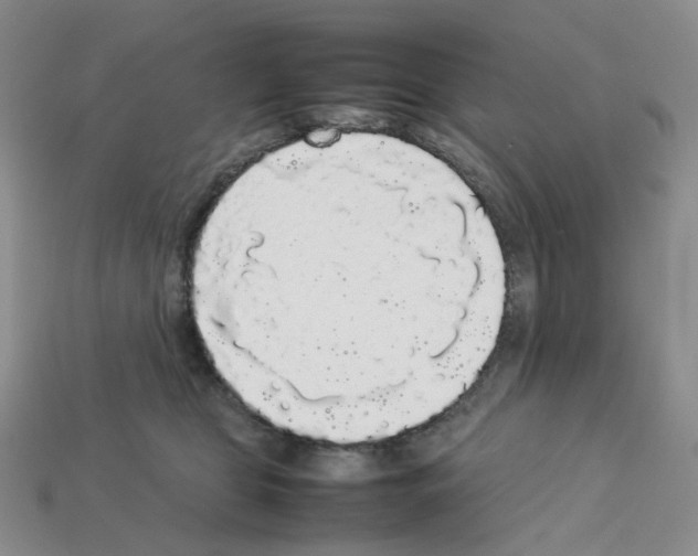 X0000112830469200910021226