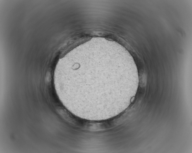 X0000112830472200910021226