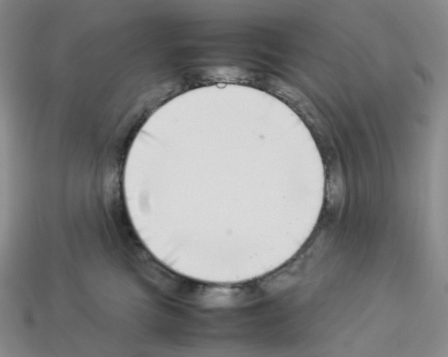 X0000112830473200910021226