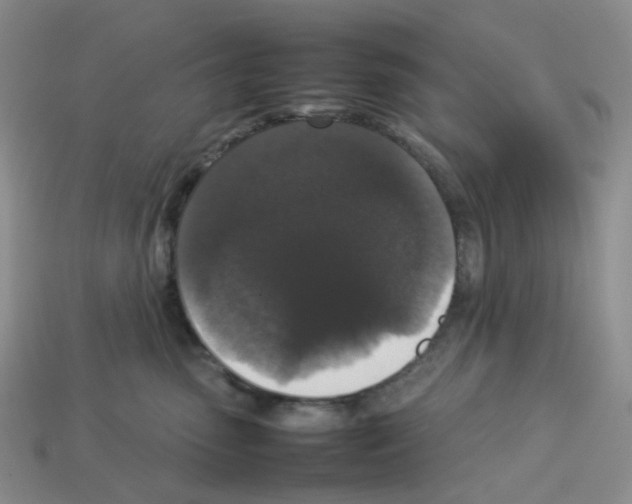 X0000112830475200910021226