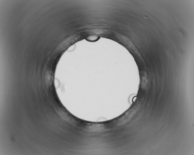 X0000112830476200910021226