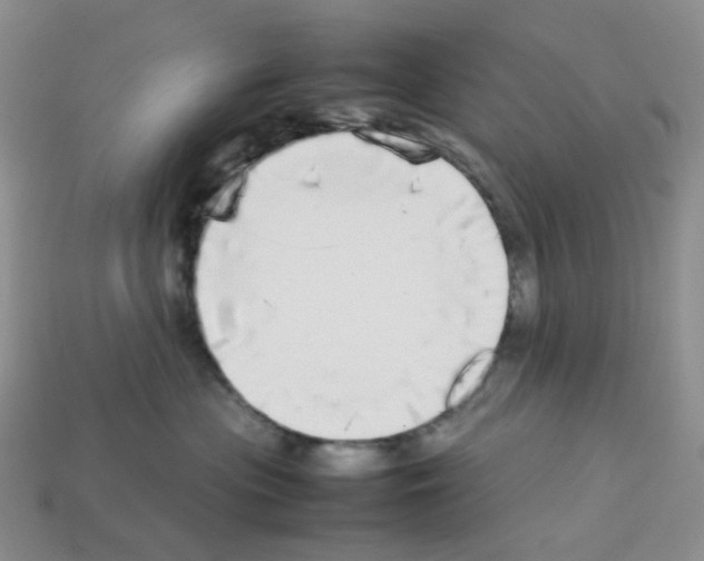 X0000112830477200910021226