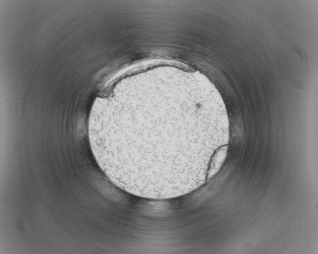 X0000112830478200910021226