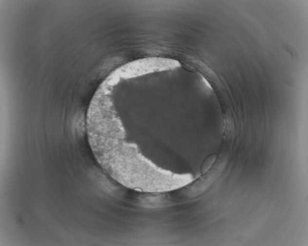 X0000112830479200910021226