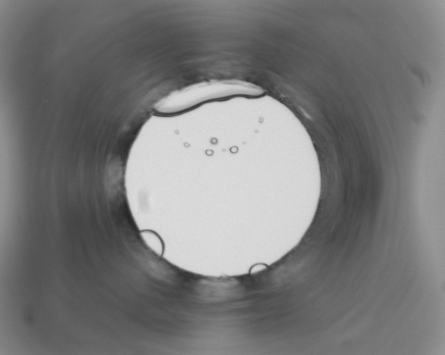 X0000112830480200910021226