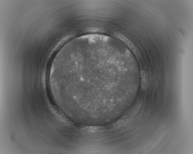 X0000112830482200910021226