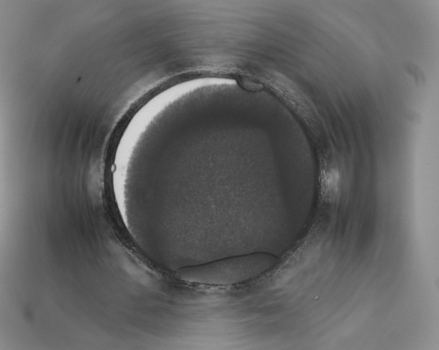 X0000112830484200910021226