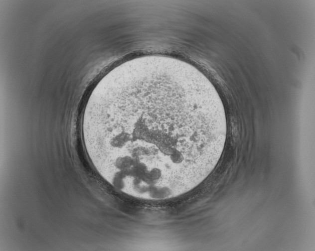 X0000112830487200910021226