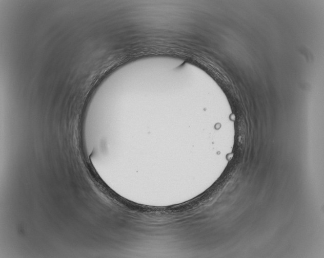 X0000112830489200910021226