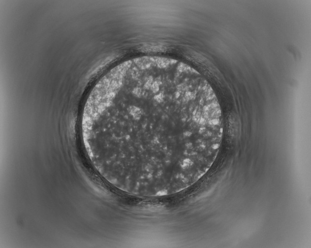 X0000112830491200910021226