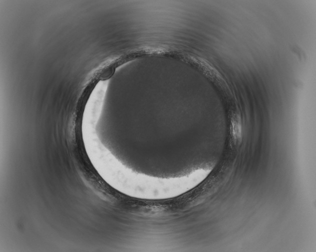 X0000112830492200910021226