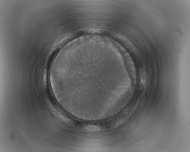 X0000112830494200910021225