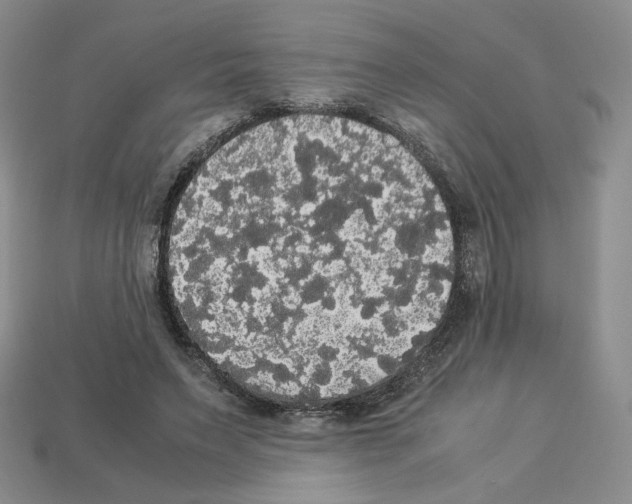 X0000112830495200910021225