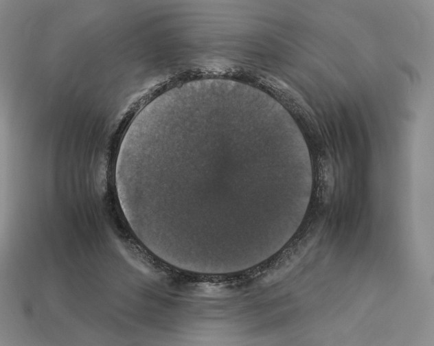 X0000112830496200910021225