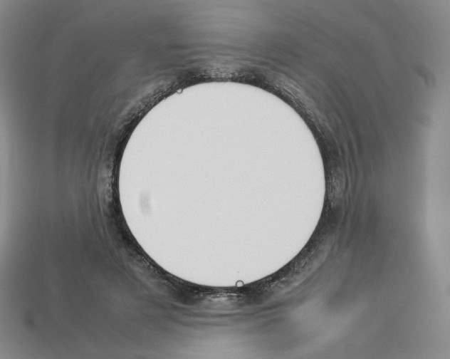 X0000112830497200910021225