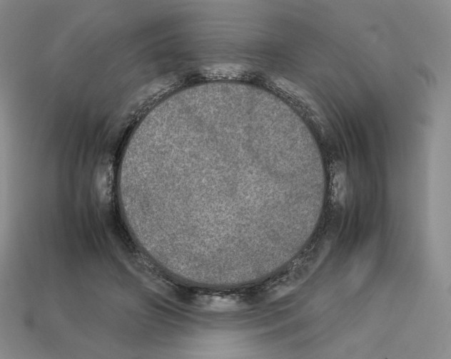 X0000112830498200910021225