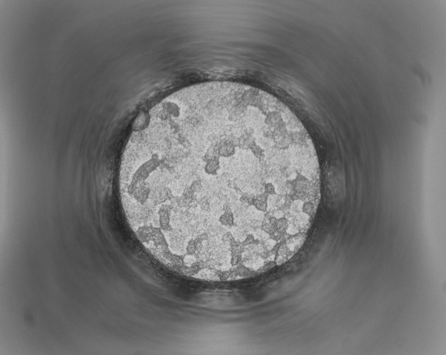 X0000112830499200910021225