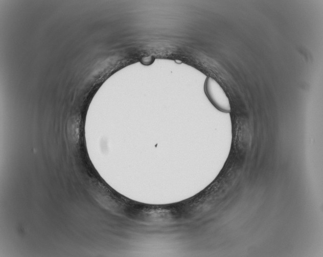 X0000112830501200910021225