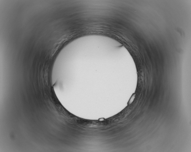 X0000112830504200910021225