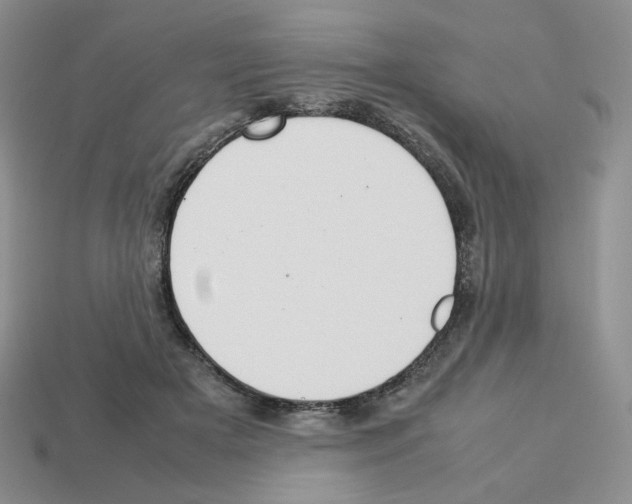 X0000112830505200910021225