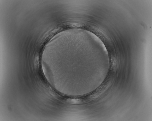 X0000112830506200910021225