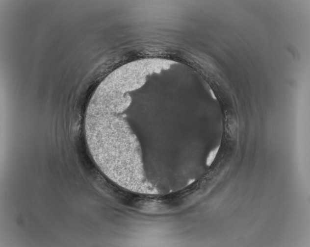 X0000112830507200910021225