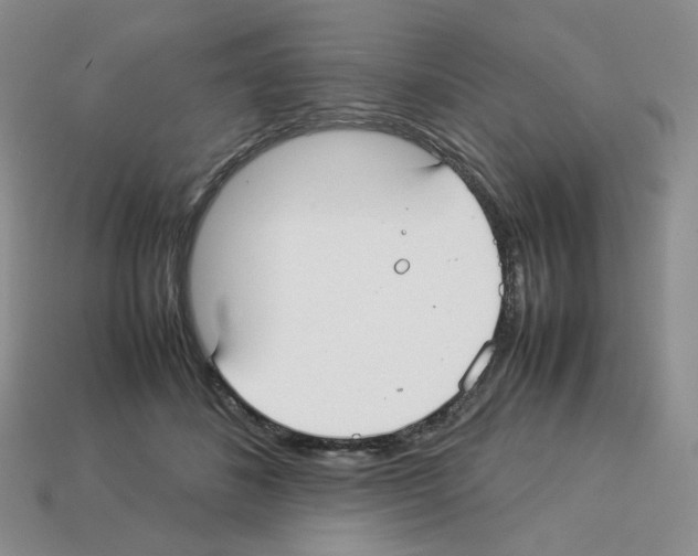 X0000112830508200910021225