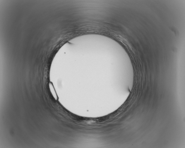 X0000112830509200910021225