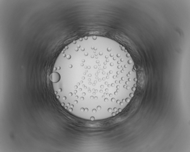 X0000112830510200910021225