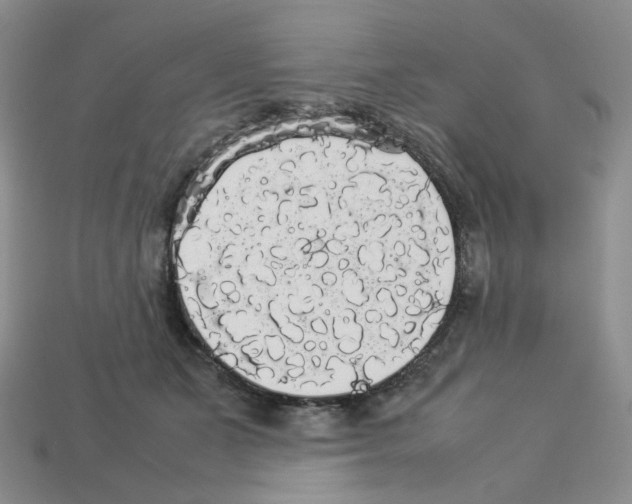 X0000112830511200910021225