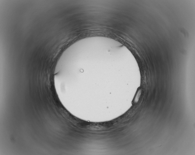 X0000112830512200910021225