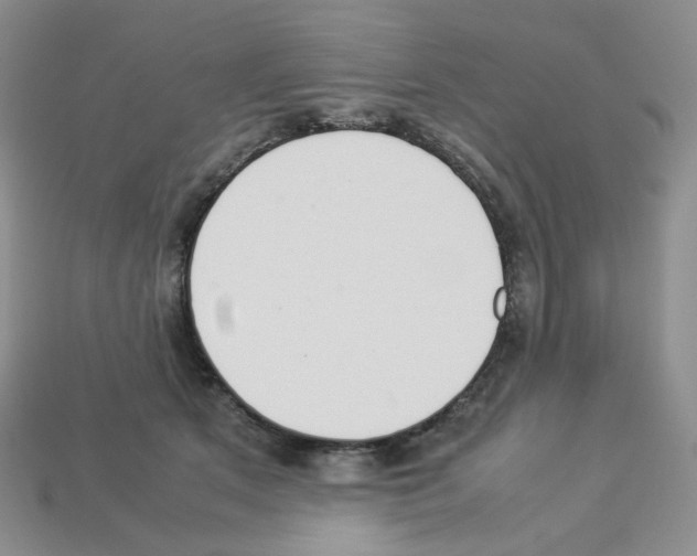 X0000112830513200910021225