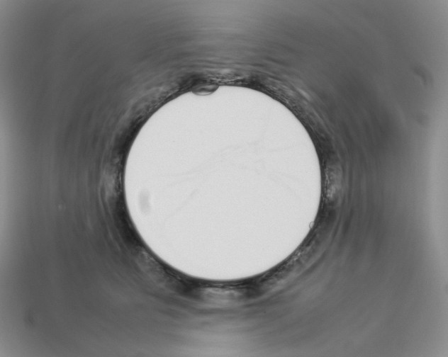 X0000112830515200910021225